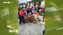 Un caballo se desplomó, al parecer, por cansancio en El Retiro, Antioquia