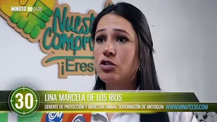 Marinilla hace parte de los 5 municipios del Oriente donde se sustituirán vehículos de tracción animal