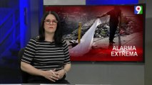 Una docena de cuerpos esparcidos por las calles de Haití | Emisión Estelar SIN con Alicia Ortega