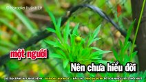 Tâm Sự Đời Tôi Karaoke Nhạc Sống Tone Nữ | Beat Karaok Việt Nam