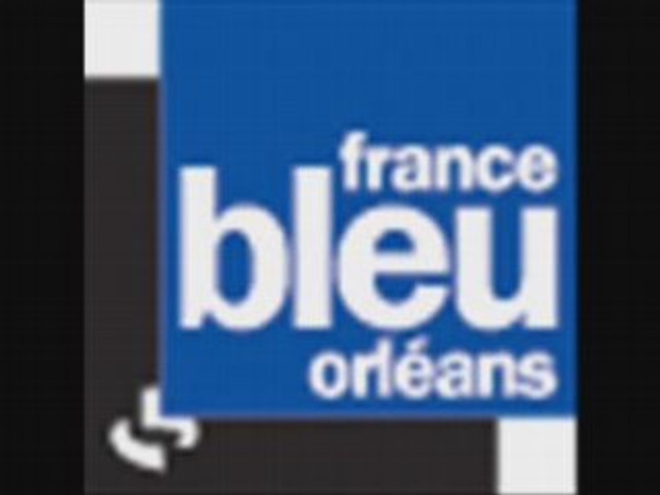 Francebleuorleans-journal8h-070408