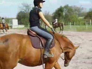 Reprise dress obstacle