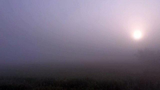 जयपुर में कड़क धूप, श्रीगंगानगर में घना कोहरा