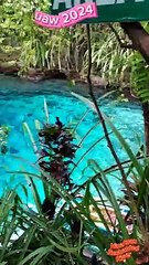 Enchanted River
