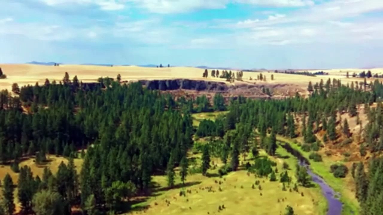 cánh đồng Palouse và tận hưởng cảnh hoàng hôn hùng vĩ