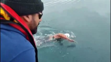 La sirena de hielo logra el récord de nadar 2,5 kilómetros en la Antártida