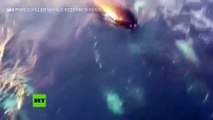 Científicos encuentran un nuevo tipo de ballenas asesinas en Chile