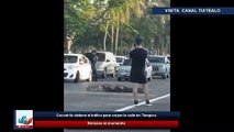 Cocodrilo detiene el tráfico para cruzar la calle en Tampico