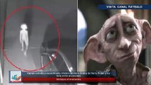 Captan extraña y escalofriante criatura similar a Dobby de Harry Potter