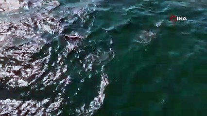 Havadan görüntülendi: İstanbul'a akın akın geliyorlar!