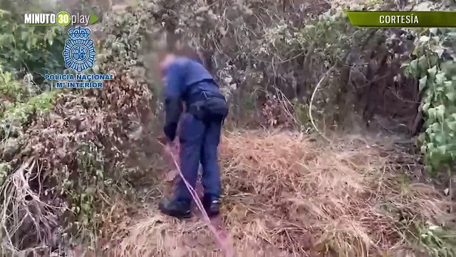 Muy dañados cuatro personas pretendían arrojarle aceite a los ciclistas en la Vuelta a España