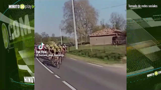 Arreee ciclistas el caballo francés que le ganó a la carrera a la vaca de Costa Rica