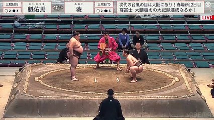 Haru 2024, Sandanme - Day 12