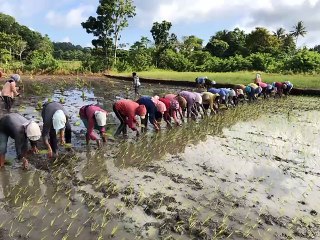 Yel-yel Penyemangat Kerja