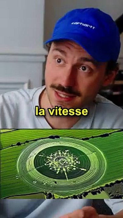 Vous avez déjà vu des Crop Circles ?