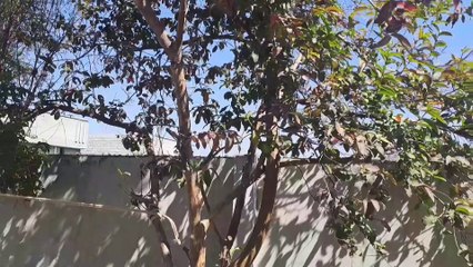 RAMZAN MAIN GHAR KA KAAM START❤️ | VLOG 40 | DANISH B.