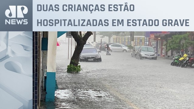 Chuva intensa causa queda de árvores e muros no litoral de São Paulo