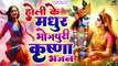 नॉनस्टॉप भोजपुरी होली भजन | Bhojpuri Radha Krishna Holi Bhajan | Krishna Holi Geet | 2024 Holi Song