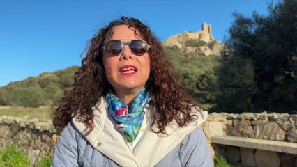 Paola Mancini: Il contesto delle visite del Fai