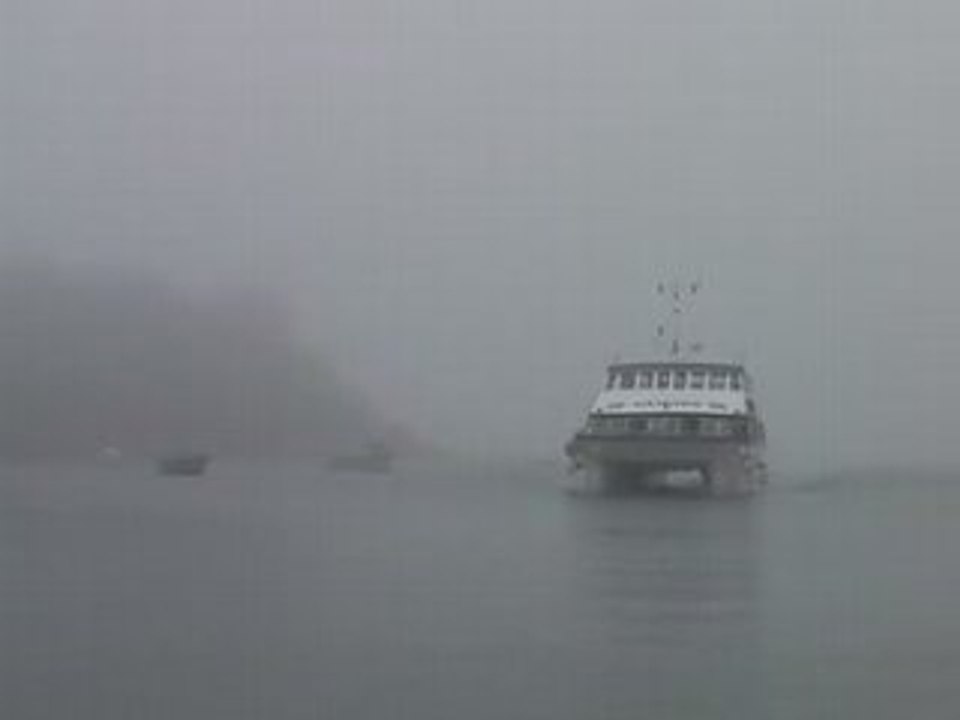Bateau dans le brouillard