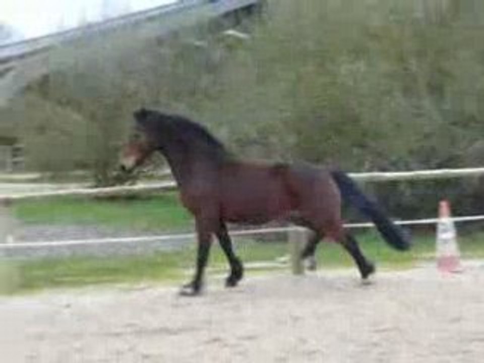 06.04.08 BALOO !