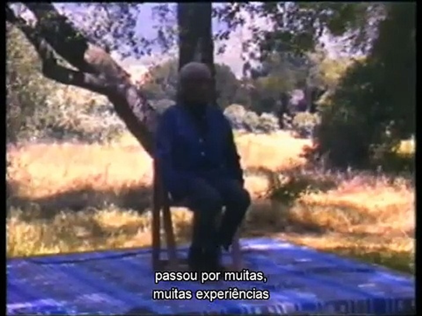 Desejo, apego e medo - 1980