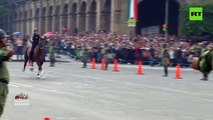 #VIDEO: Aparatosa caída de jinete durante desfile por aniversario de la Revolución Mexicana