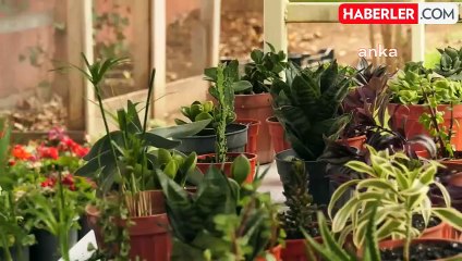 Ankara Büyükşehir Belediyesi 'Çiçeğim Takas' Projesine Devam Ediyor