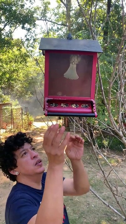 Mésange Perdue Dans La Sauce