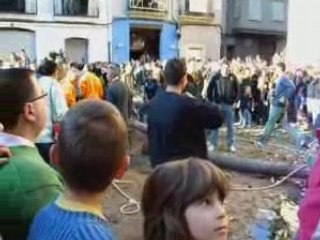 Sant Antoni 2008, primer pi.