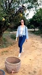 creative videos and techniques