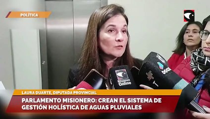 Parlamento misionero: crean el sistema de gestión holística de aguas pluviales