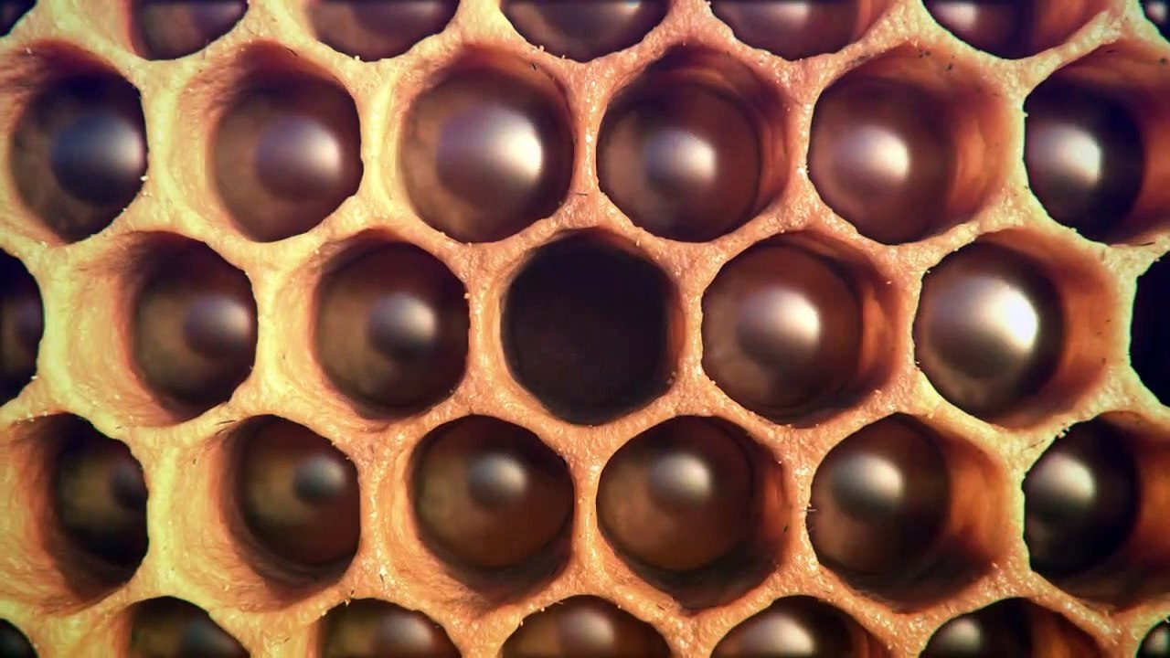 Infinite Patterns