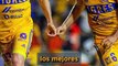 Tigres es Campeón de Liga MX - Fútbol Total