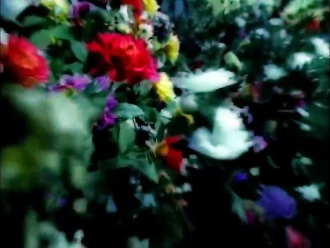 The Cranberries - Salvation (Official Music Video)