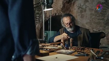 Le martin-pêcheur Seyran va-t-il mourir ? Le martin-pêcheur Seyran est-il abattu ?