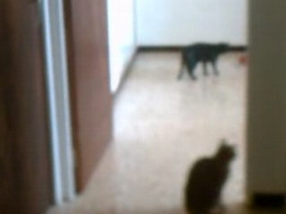 CLIP0003
