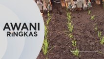 AWANI Ringkas: Isu sekuriti makanan negara