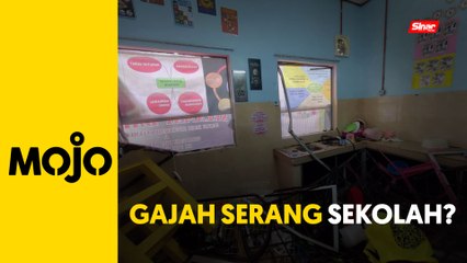 Gajah liar ceroboh sekolah Orang Asli
