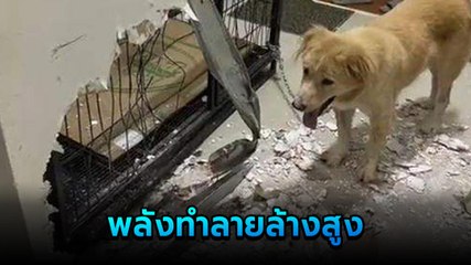 อึ้งมาก ! น้องโกลเด้นแอดมิต รพ. ก่อนสร้างวีรกรรมช็อก จนหมอต้องกลายเป็นผู้ประสบภัย