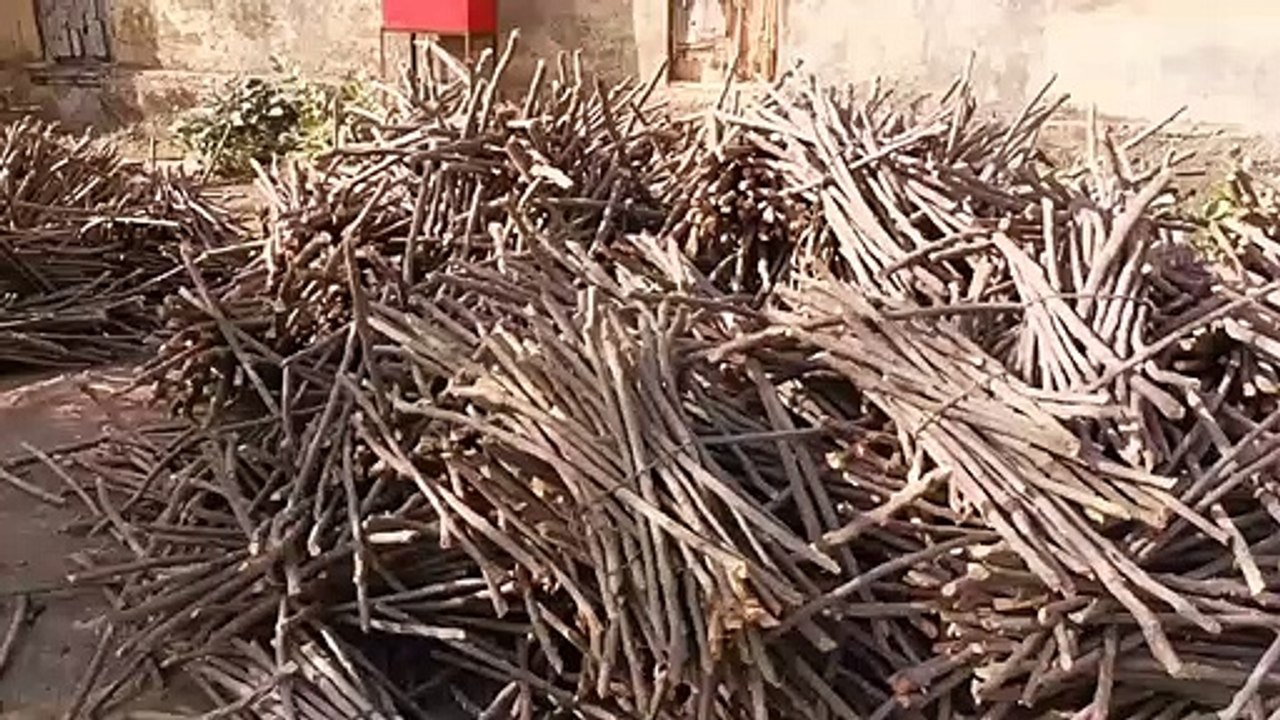 चंबल किनारे से दो ट्रॉली कीमती इमारती लकड़ी बरामद तस्करी के आरोपियों की तलाश जारी