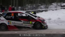 WRC (World Rally Championship)  2019 Rd.2 スウェーデン ハイライト動画 TOYOTA GAZOO Racing 1/2, World Drivers' Champion: Ott Tänak