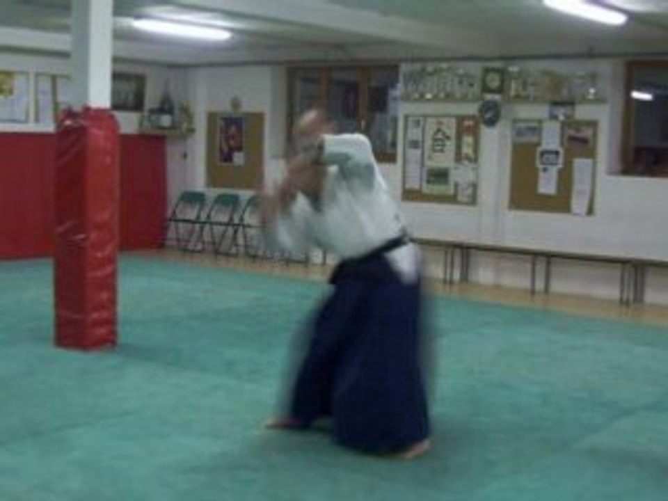 Ju Jutsu