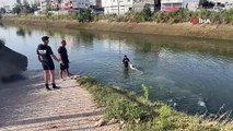 Adana'da sulama kanalında ceset bulundu!