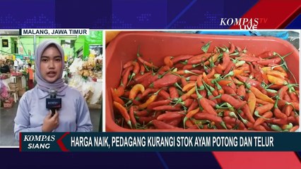 Harga Bahan Pokok Naik, Pedagang Kurangi Stok Ayam Potong dan Telur