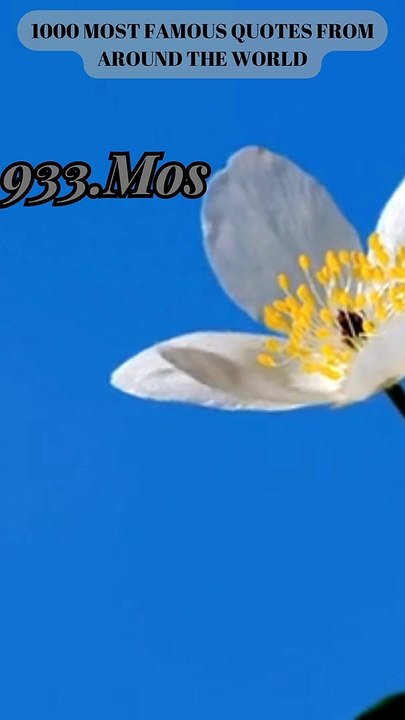 933-936.BELIEVE IN YOURSELF-Finding Your Inner Strength-Greatest Quotes!#ENJOY!