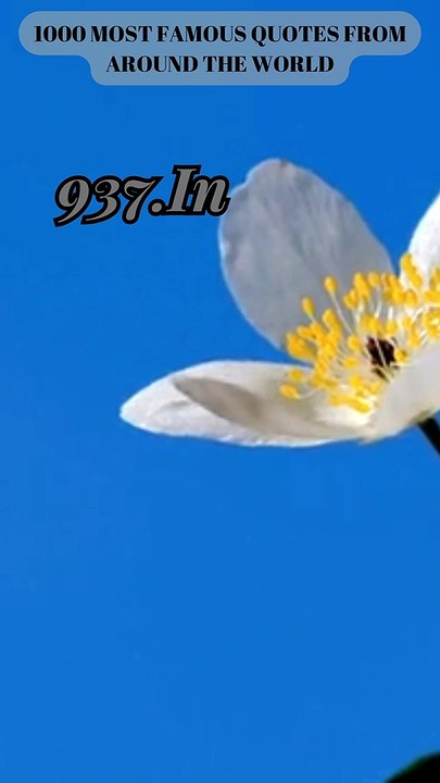 937-940.THE CURE TO LAZINESS - Most Powerful Quotes. #ENJOY!