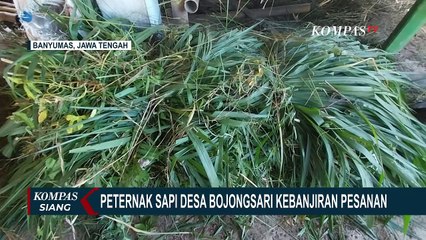Peternak Sapi di Desa Bojongsari Kebanjiran Pesanan Hewan Kurban, Sudah Pesan Sejak Bulan Lalu