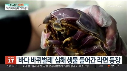 [지구촌톡톡] '꿈의 식재료'라지만 생김새가…대만 이색 라면 外