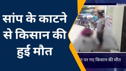मैनपुरी में छाई काले किंग कोबरा की दहशत, देखिए फिर एक किसान की हुई मौत
